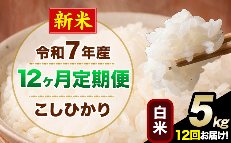 【12ヶ月定期便】新米 令和7年産 定期便 こしひかり 白米 定期便 5kg 精米 熊本県産(南阿蘇村産含む) 単一原料米 南阿蘇村《1月から出荷開始》---kh7tei_162000_5kg_jan12_mna_h---