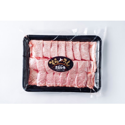 
                  大樹町産黒毛和牛「天駆牛(そらうし)」特上カルビ(三角バラ) 焼肉用 300g【1722166】
                