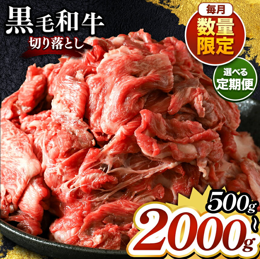 【ふるさと納税】栃木県産 黒毛和牛 切り落とし 単・定期便 500g～2000g | ふるさと納税 たっぷり ボリューム 限定 お得 お買い得 牛肉 和牛 肉 お肉 しゃぶしゃぶ すき焼き カレー シチュー 牛丼 牛どん サシ 美味しい 調理 特産品 人気 ご家庭向け 真岡市 送料無料