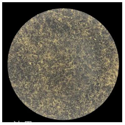 ふるさと納税 九度山町 フラットプレート(D)　乱糸(マット仕上げ)漆黒