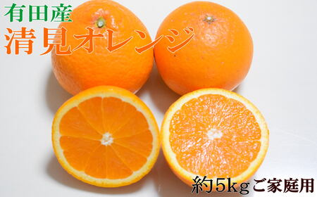 【先行予約】【濃厚】有田産清見オレンジ約5kg(M～3Lサイズおまかせ)ご家庭用　※2027年2月中旬～2027年3月中旬頃発送予定（お届け日指定不可）/ オレンジ くだもの 果物 フルーツ 柑橘 みかん 【tec959A】