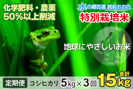 【令和7年産】【3ヶ月定期便】こしひかり 5kg × 3回 計15kg【白米】減農薬・減化学肥料 「特別栽培米」地球にやさしいお米[B-003001]