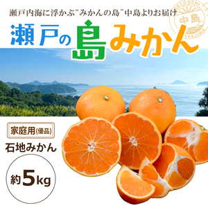 【先行予約】 瀬戸内海の島みかん 家庭用(優品)【石地みかん】約5kg | みかんみかんみかんみかんみかん 【KK3291】