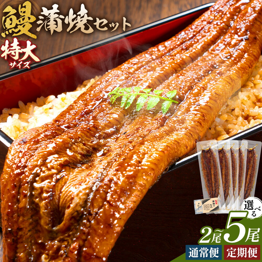 【ふるさと納税】【隔月・定期便】＼特大サイズ／ 鹿児島県産 鰻蒲焼真空セット！ 選べる 2尾 3尾 5尾 定期便 3回 6回 タレ・山椒付！ 株式会社薩摩川内鰻《出荷時期をお選びください》鹿児島県 さつま町 送料無料 ウナギ 丑の日 うなぎ 刻み グルメ 特大 鰻 蒲焼 真空