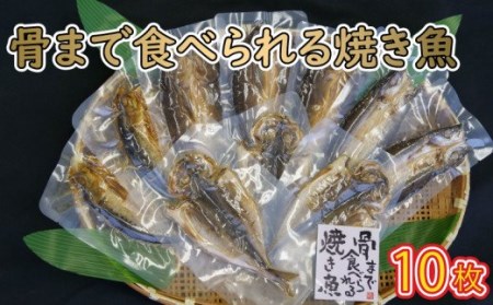 焼き魚 10枚 セット 簡単 レンジ 調理 骨まで まるごと 食べられる 【テレビ朝日など！多数のメディアで放送！】 あじ ほっけ かます いわし 常温 保存 備蓄