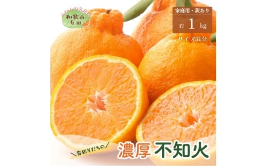 【先行予約】有田育ちの濃厚不知火(ご家庭用)(通称デコポン)　約1kg【ard208A】