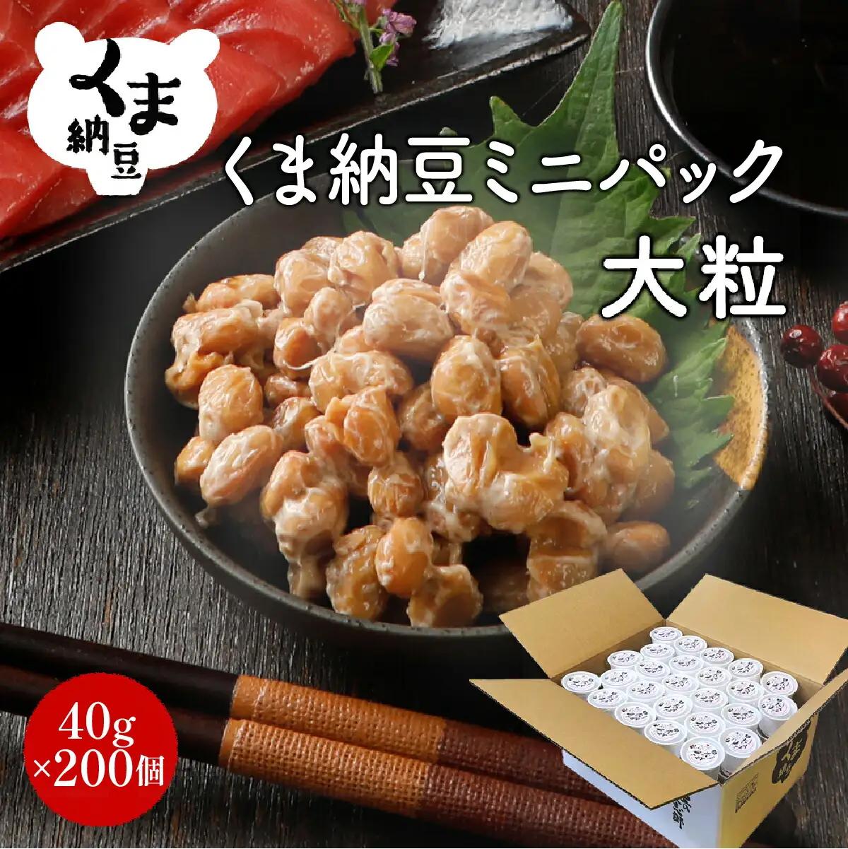 北海道くま納豆ミニカップ 大粒 200個 《順次発送》 国産 なっとう ナットウ 高級 大豆 厳選 老舗 栄養 発酵 ふるさと納税 北海道 登別市