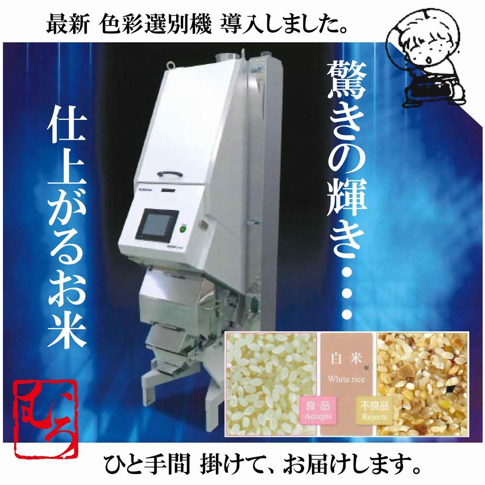 令和6年産　ひとめぼれ10kg（精白、5kg×2）