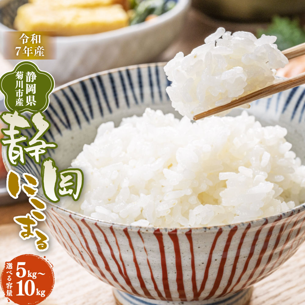 【ふるさと納税】先行予約 ＜選べる発送時期・内容量＞【令和7年産】菊川市産 静岡にこまる 白米 5kg 10kg 米 お米 単一原料米 精米 5キロ 10キロ おにぎり お弁当 静岡県産 国産 静岡県 菊川市 送料無料 【2025年11月上旬～2026年3月下旬発送予定】