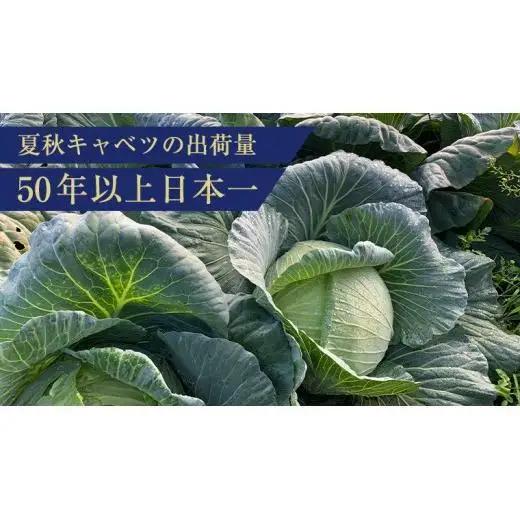 【7月中旬発送開始】 嬬恋キャベツ 定期便 嬬恋産 高原 キャベツ 4玉 1ケース 隔月2回 Lサイズ 先行予約 2026年発送 [AS006tu]