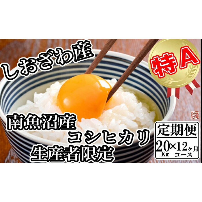 【ふるさと納税】【令和7年産】米 定期便 コシヒカリ 南魚沼しおざわ産 240kg ( 20kg × 12ヶ月 ) 契約栽培【2025年10月上旬より順次発送予定】 | お米 こめ 白米 コシヒカリ 食品 人気 おすすめ 送料無料 魚沼 南魚沼 南魚沼市 新潟県産 新潟県 精米