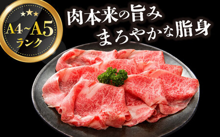 【3回定期便】【訳あり】A4-A5 長崎和牛 赤身霜降り しゃぶしゃぶ すき焼き用 (肩/モモ) 600g [DBS118] 赤身