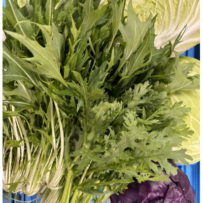 
            ＜発送月固定定期便＞藍愛ファーム　旬野菜セット全6回【4055553】
          