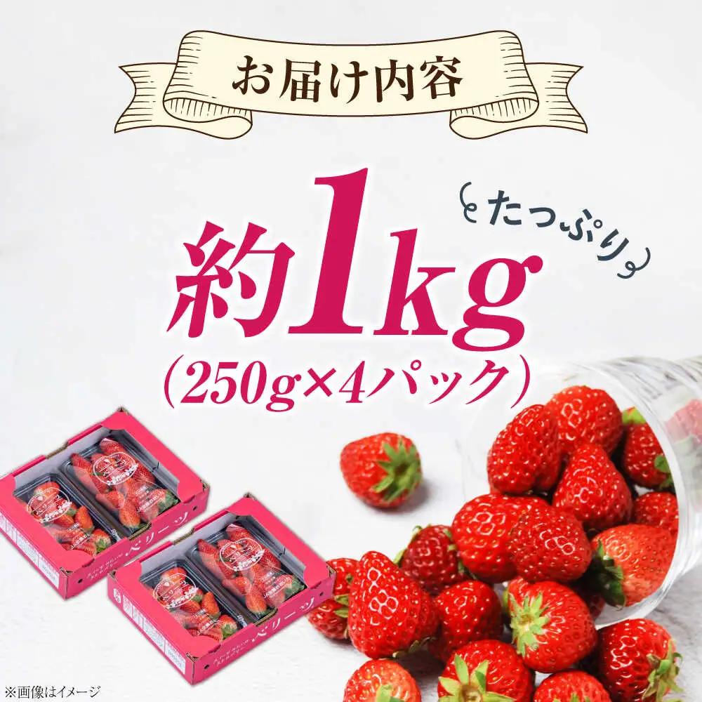 ベリーツ 【先行予約】ベリーツ  約250g×4 ARET010 いちご
