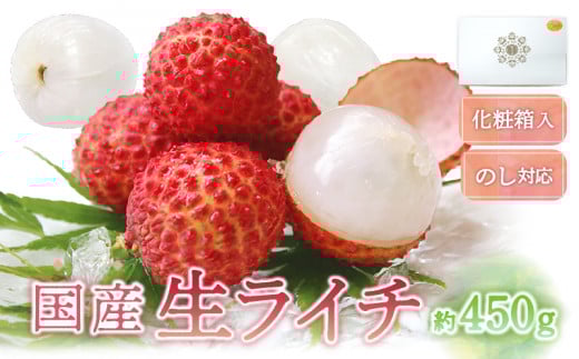 【先行予約/数量限定】希少 国産 綾生ライチ（化粧箱入り）  宮崎県 綾町産 ライチ 贈答 ギフト プレゼント 国産ライチ 果物 フルーツ 生ライチ 産地直送 期間限定 送料無料 お中元