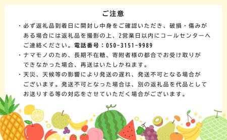 新品種みかん「みはや」約2kg（11～16玉入り） 化粧箱入り