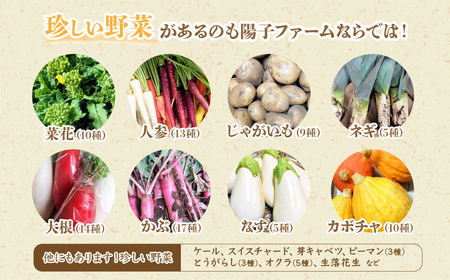 ＜6ヵ月定期便＞旬の野菜詰め合わせ 11～12種 |野菜セット 詰め合わせ 定期便