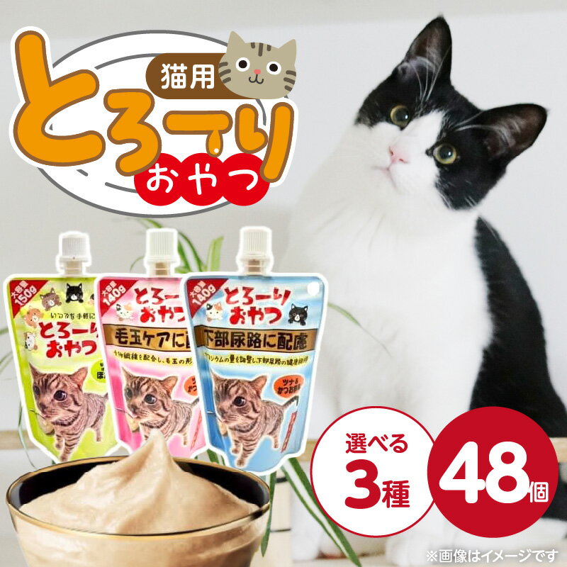 【ふるさと納税】とろーりおやつ 猫用 140g ～ 150g × 48個 選べる セット内容 ツナ＆ほたて味 ツナ＆かつお節味 毛玉ケア 下部尿路 液状タイプ おやつ 水分補給 低カロリー 体重管理 長期保存 キャップ付き スパウトパウチ 福岡県 久留米市