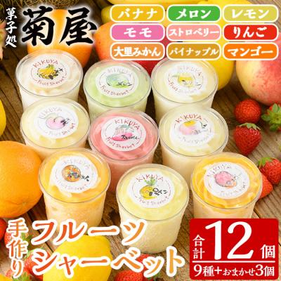 ふるさと納税 いちき串木野市 先行受付&lt;数量・期間限定&gt;9種の手作りフルーツシャーベット12個セット