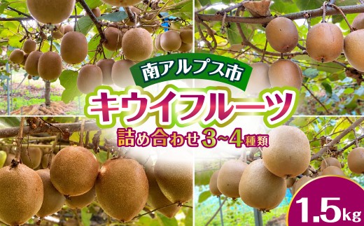 南アルプス市　キウイフルーツ　詰め合わせ （3～4種類）　約1.5kg ALPGN005