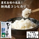 【ふるさと納税】米 新米 コシヒカリ【令和6年産新米】【12か月定期便】新潟産コシヒカリ 特選米『ひすいの里』2kg×12回 毎月お届け 計24kg 豊かな自然が育んだ美味い米 新潟米 農家自慢 糸魚川 米作りのプロ JA自信作 ふっくらもちもち 精米 おすすめ 人気 こしひかり 2kg