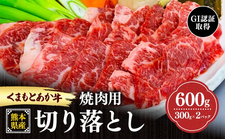 熊本県産 GI認証取得 くまもとあか牛 焼き肉用 切り落とし 600g 300g×2パック くまふる《45営業日以内に出荷予定(土日祝除く)》熊本県 長洲町 肉 牛肉 あか牛 赤牛 焼肉 切り落とし 熊本県産 国産---ng_kmf_2_600g---