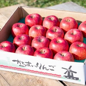 岩手県軽米町産　サンフジリンゴ　約5キロ(16～18個入り)【配送不可地域：離島・沖縄県】【1566350】