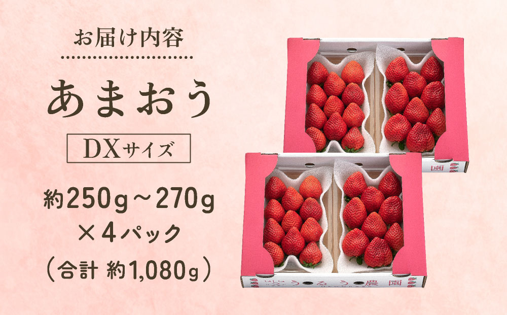 【2026年12月～2027年2月発送】うるう農園のあまおうDX 約250g～270g×4P(約1080g)
