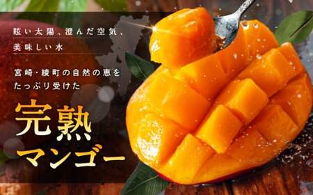 【訳あり】完熟マンゴー 2L×2玉（パック）濃厚 宮崎 果物 フルーツ 贈答 ギフト 甘い 先行受付 送料無料【JA綾町】_A0114-1101