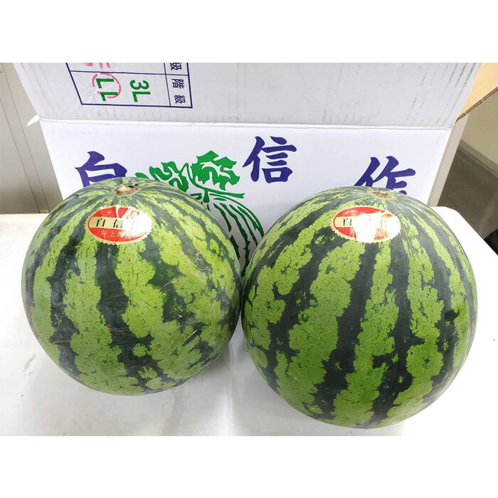 【ふるさと納税】No.012 井上さんの西瓜「自信作」2Lサイズ以上2玉 ／ スイカ すいか ミネラル こだわり 送料無料 千葉県