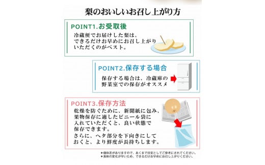 作村果樹園のあきづき梨 約3kg(5～6玉前後) 《8月下旬-10月中旬頃出荷》 熊本県氷川町産 作村果樹園---sh_csakuaki_h810_21_11000_3kg---