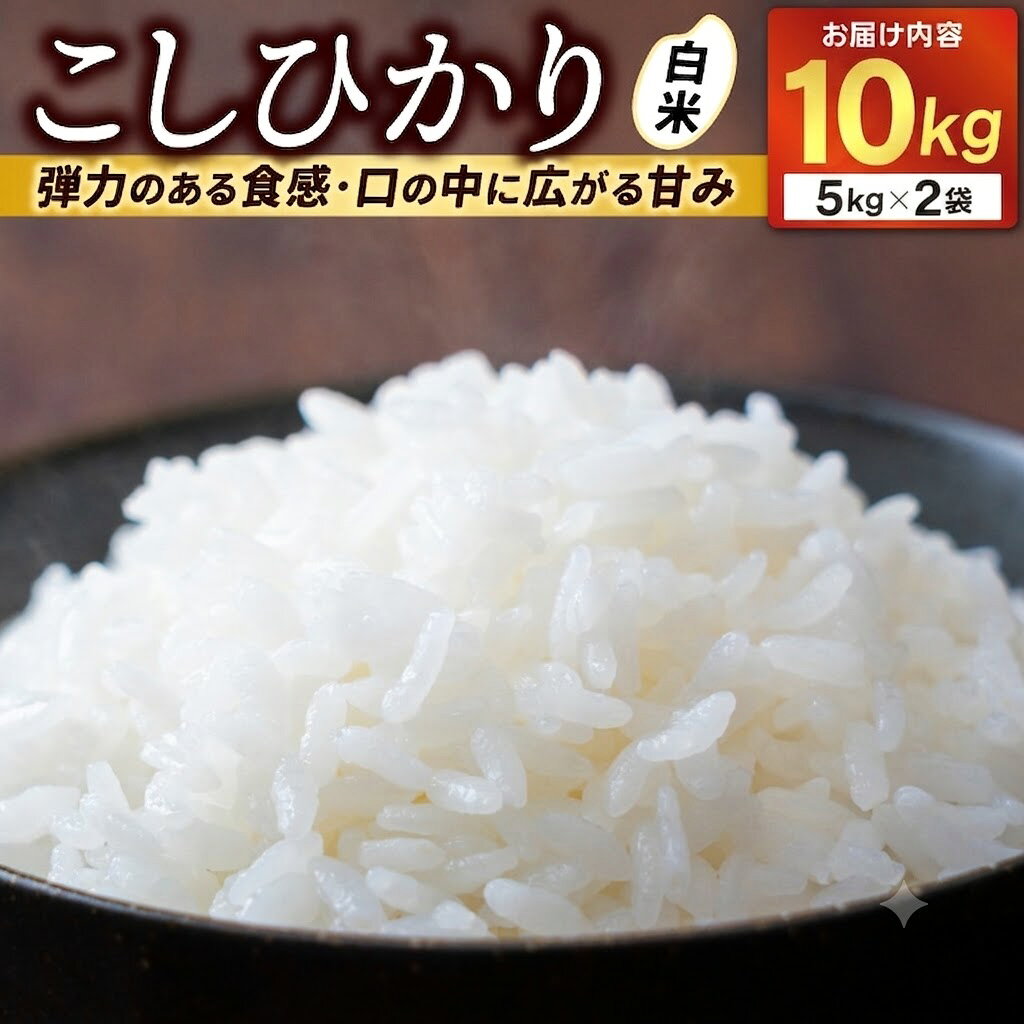 【ふるさと納税】★新米 令和8年★ 米 10kg 白米 「コシヒカリ」 ｜山崎観光農園 栃木県 益子町 ふるさと納税 お米 コシヒカリ 白米 精米 10キロ 令和8年産 先行予約 (AU045)
