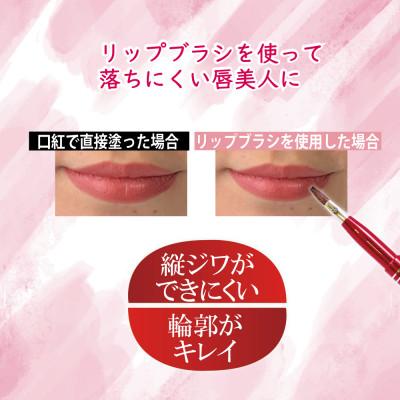 ふるさと納税 松原市 馬毛 リップブラシ(レッド)【ラッピング付】 |  | 02