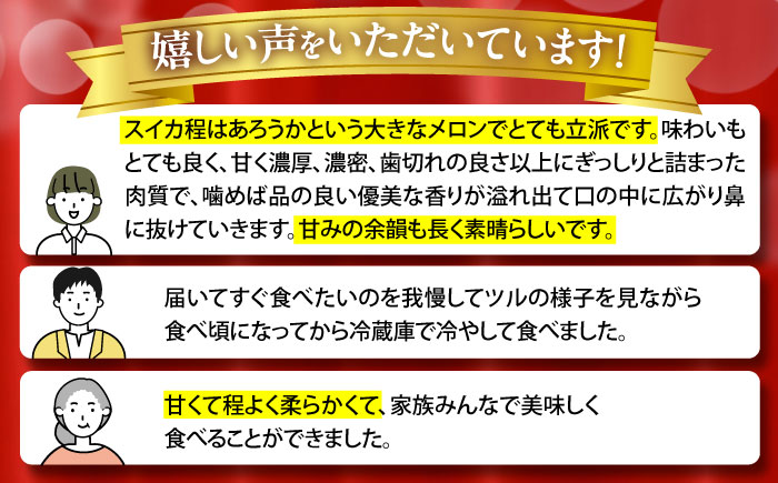 【2026年7月初旬～発送】グリーンメロン 2玉 約4kg / メロン めろん 果物 フルーツ / 南島原市 / うえだメロン園 [SAD010]