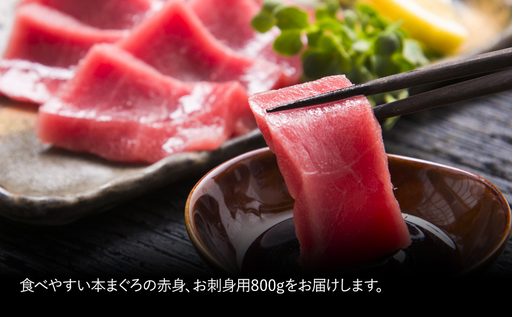 本マグロ まぐろお刺身用 赤身5人前(800g) 鮪 海鮮丼 刺し身 刺身 盛り合わせ 冷凍 魚の刺身 大分県産 九州産 津久見市 熨斗対応