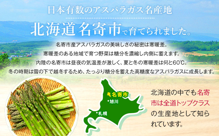 【先行予約】朝採りアスパラガス Mサイズ(1.2kg) 《2025年5月中旬-6月下旬頃出荷予定》北海道 名寄市 送料無料 朝採り 新鮮 アスパラ---nayoro_loc_9_1.2kg---