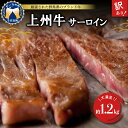 【ふるさと納税】【訳あり】牛肉 サーロイン 【上州牛】 約1.2kg (約200g×6枚) 国産 牛肉 ステーキ キャンプ アウトドア バーべキュー BBQ 冷凍 送料無料 群馬県 千代田町