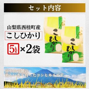 コシヒカリ 5キロ 2袋 / 国産 こしひかり  10キロ 令和7年 新米 米 お米 保存袋 生活必需品 ギフト 贈り物 お歳暮 ふるさと納税 送料無料【n0663-10_gou】