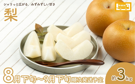 No.2036 フルーツ２種定期便【2026年発送】