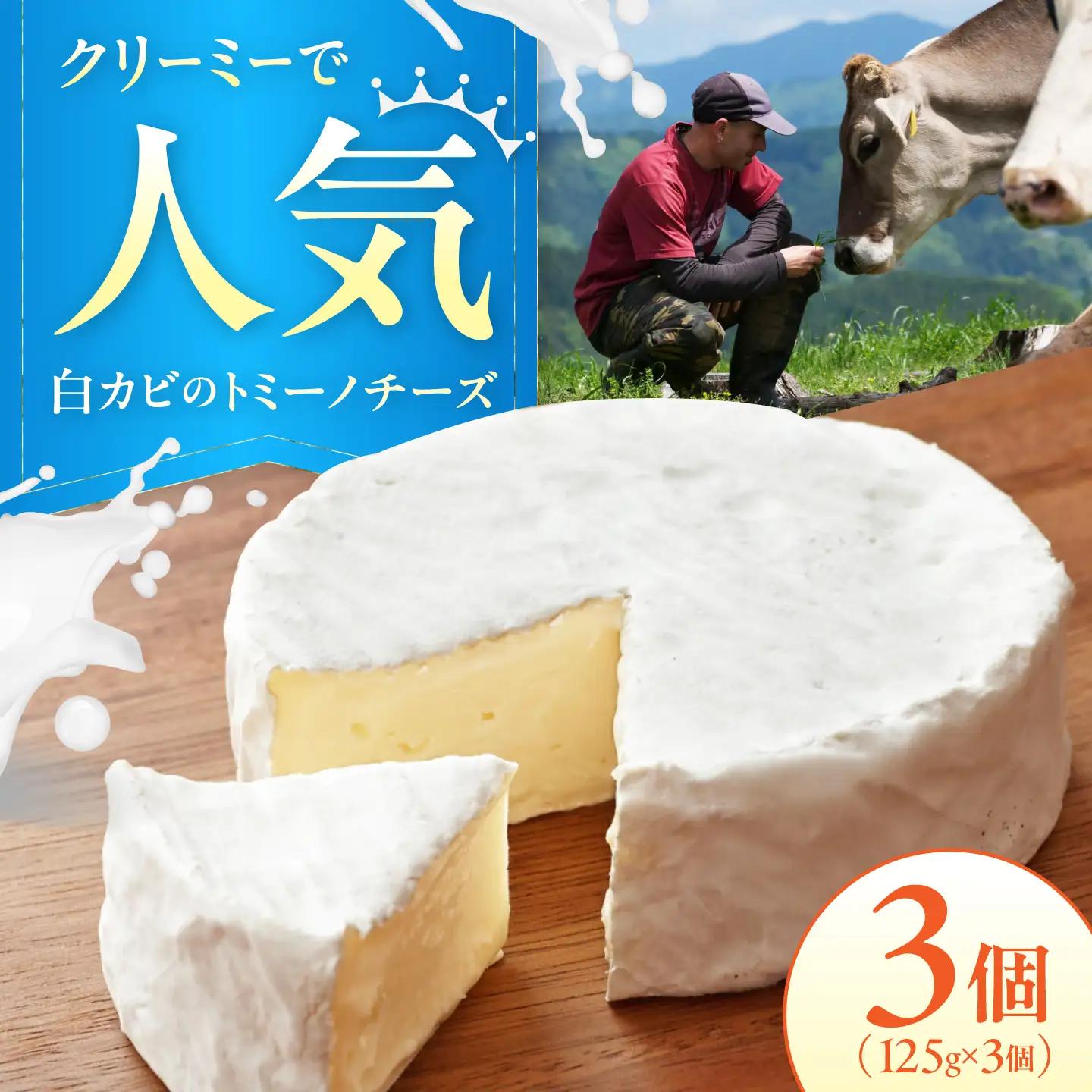 チーズ トミーノチーズ3個セット BKAH004
