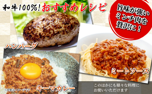 国産黒毛和牛 ハンバーグに大人気!ミンチ 1Kg(500g×2) 根羽こだわり和牛 牛肉 肉 和牛