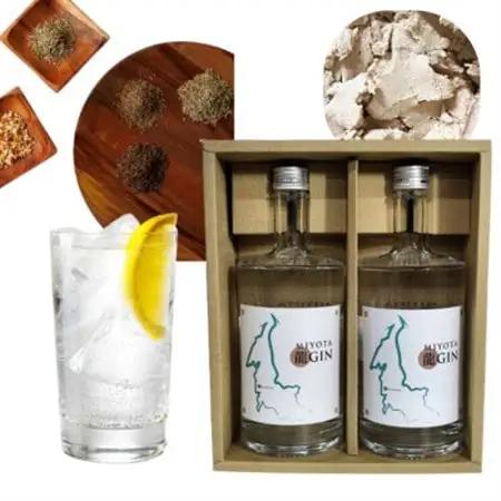 御代田町クラフトジン「MIYOTA 龍GIN」700ml×2本セット_酒・アルコール リキュール・洋酒  _【1597225】