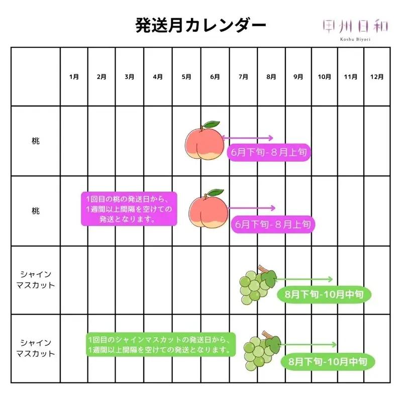 【定期便】食べきりサイズ 夏のフルーツ4回定期便【2026年発送】（KSB）D6-130 【桃 もも モモ シャインマスカット 葡萄 ぶどう ブドウ 令和8年発送 期間限定 山梨県産 甲州市 フルーツ