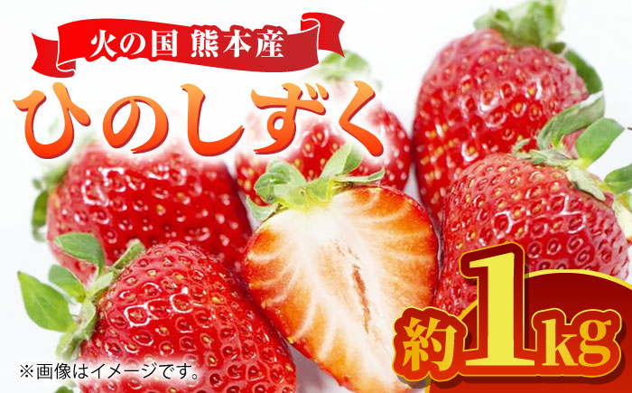 
【先行予約】【数量限定】 ひのしずく 約1kg 【くまふる】いちご 苺 イチゴ 冷蔵 くまもと 熊本 熊本県 特産品 [ZBG027]
