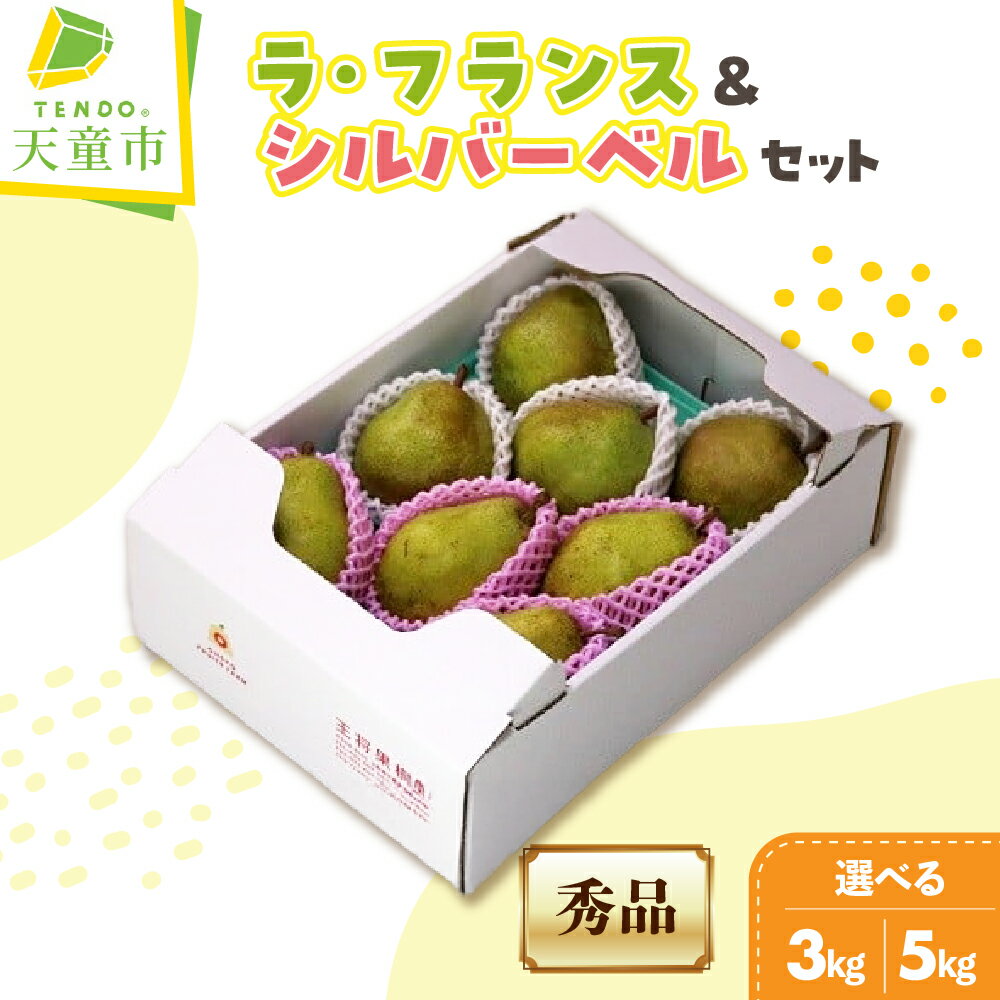 【ふるさと納税】ラ・フランス & シルバーベル 詰合せ 選べる 3kg / 5kg ラフランス 洋なし 西洋梨 果物 フルーツ 秀 家庭用 のし 贈答 ギフト プレゼント おすそ分け 食べ比べ セット お取り寄せ 旬 冬 期間限定 送料無料 先行予約 【 山形県 天童市 】