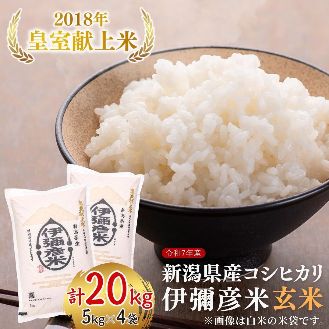 【ふるさと納税】令和7年産 皇室献上米「伊彌彦米」玄米20kg(5kg×4袋) | 新潟県産コシヒカリ 弥彦村 2018年新嘗祭献上 特別栽培米弥彦コシヒカリ 新潟県産 白米 玄米 げんまい お米 こしひかり こめ コメ 20キロ 特別栽培米コシヒカリ 弥彦村産
