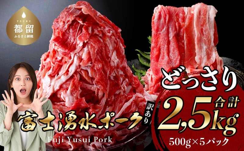 
訳あり！【幻の銘柄豚】富士湧水ポークの切り落とし　２.５kg
