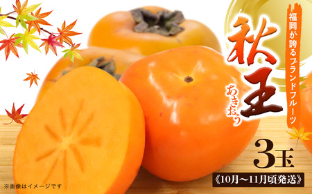 秋の贅沢、濃厚であま～い柿の新ブランド「秋王」(３玉入り) 072-198