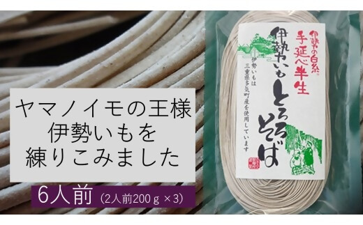 GF-23　伊勢いも入り手延べ半生とろろそば