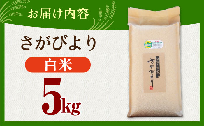 令和7年度産 ななしま家 さがびより5kg / 佐賀県 / 有限会社七島農産 [41AHAC002]